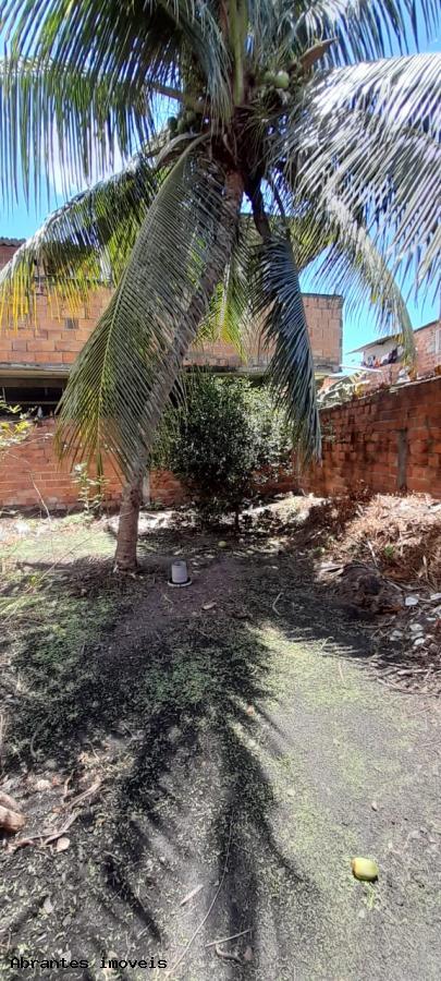 Casa à venda com 2 quartos, 380m² - Foto 2