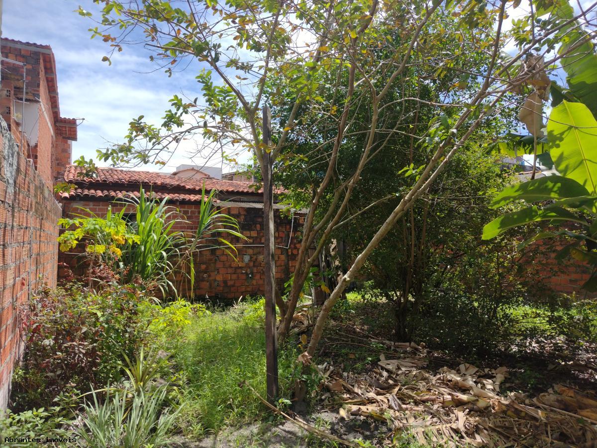 Casa à venda com 2 quartos, 380m² - Foto 21