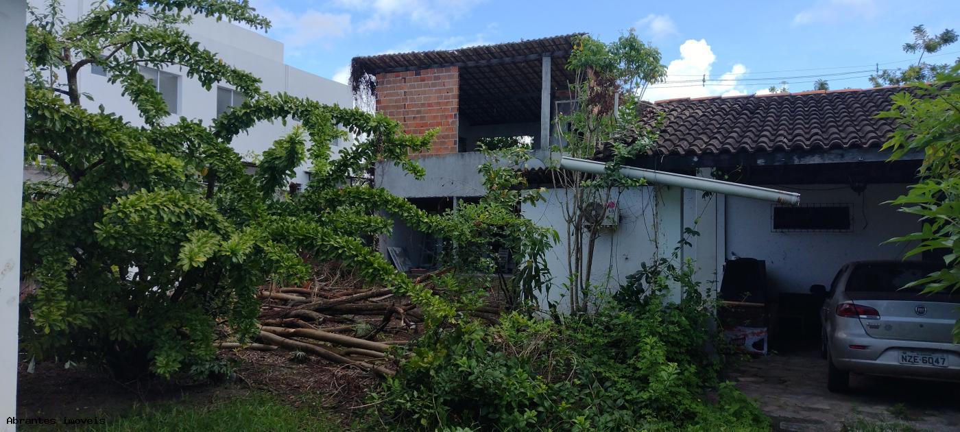 Casa à venda com 1 quarto, 3000m² - Foto 11