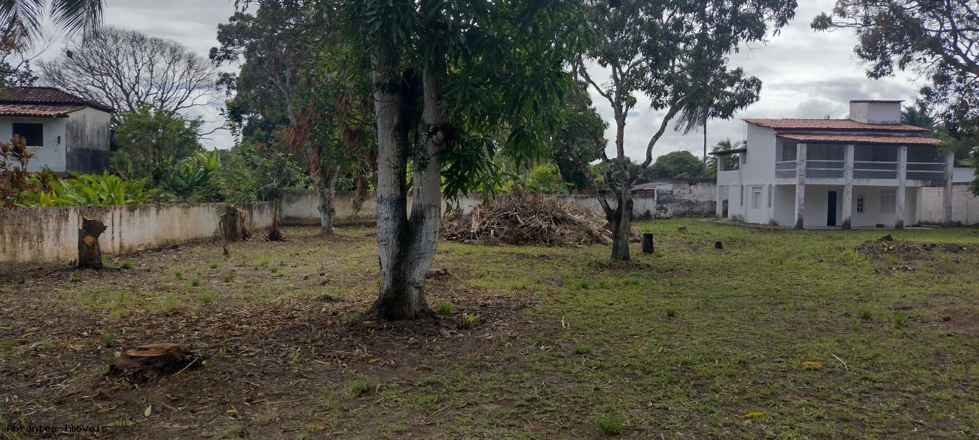 Sítio, 4 quartos, 2500 m² - Foto 3