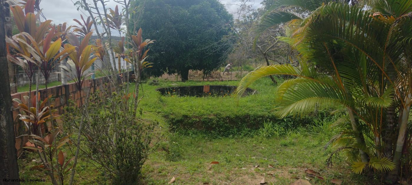 Sítio à venda, 2000m² - Foto 2