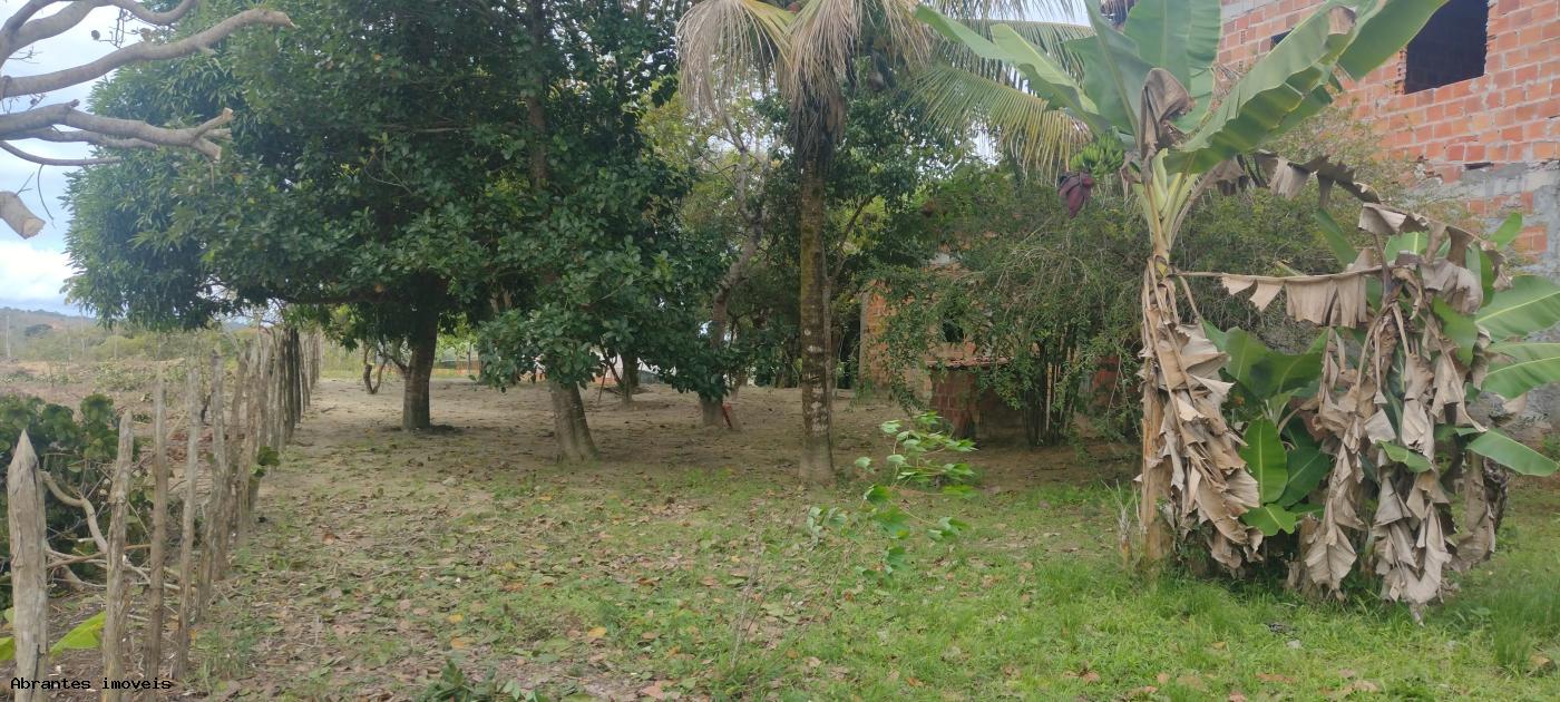 Sítio à venda, 2000m² - Foto 7