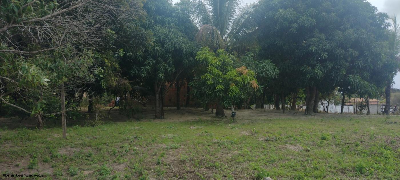 Sítio à venda, 2000m² - Foto 8
