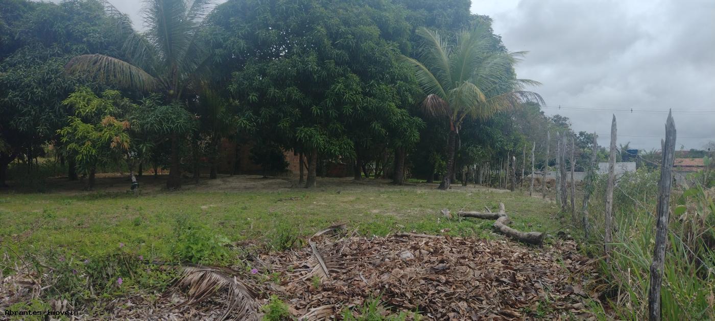 Sítio à venda, 2000m² - Foto 10