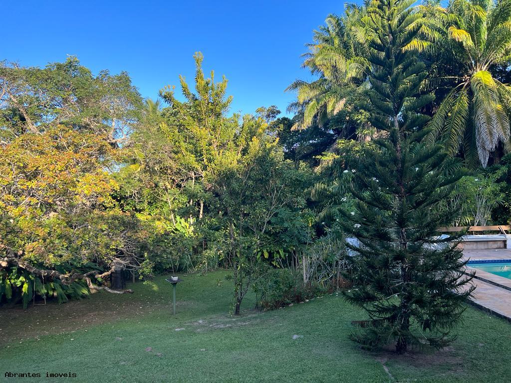 Chácara, 4 quartos, 4000 m² - Foto 2