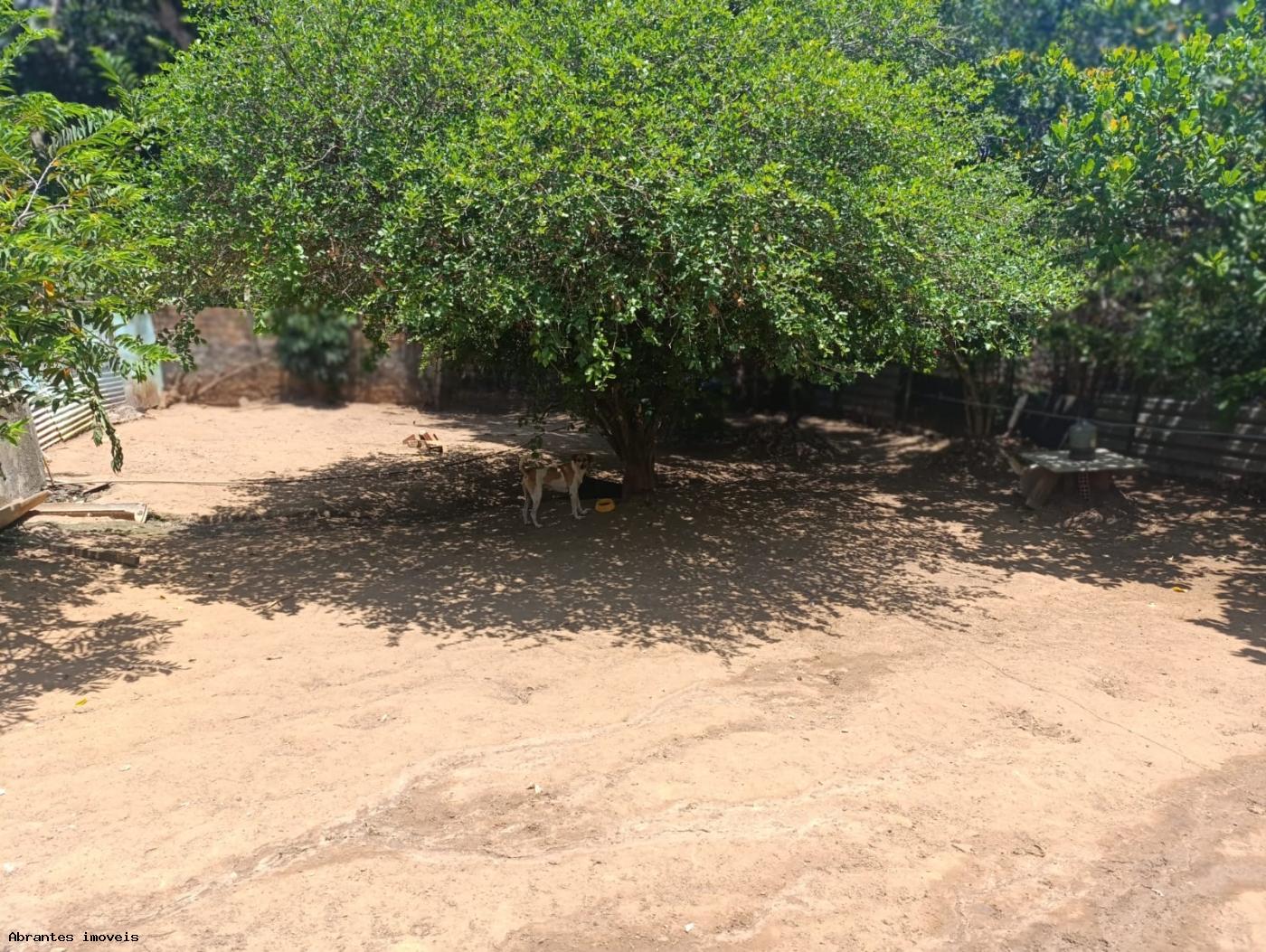 Sítio à venda com 2 quartos, 5000m² - Foto 2