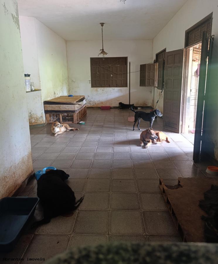 Sítio à venda com 2 quartos, 5000m² - Foto 4