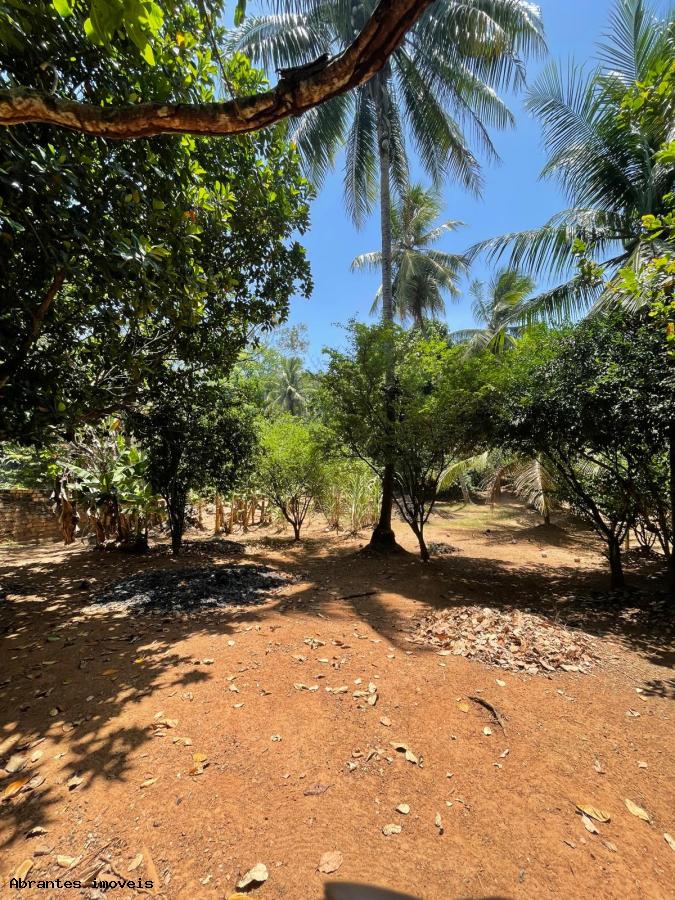 Sítio à venda com 2 quartos, 5000m² - Foto 8