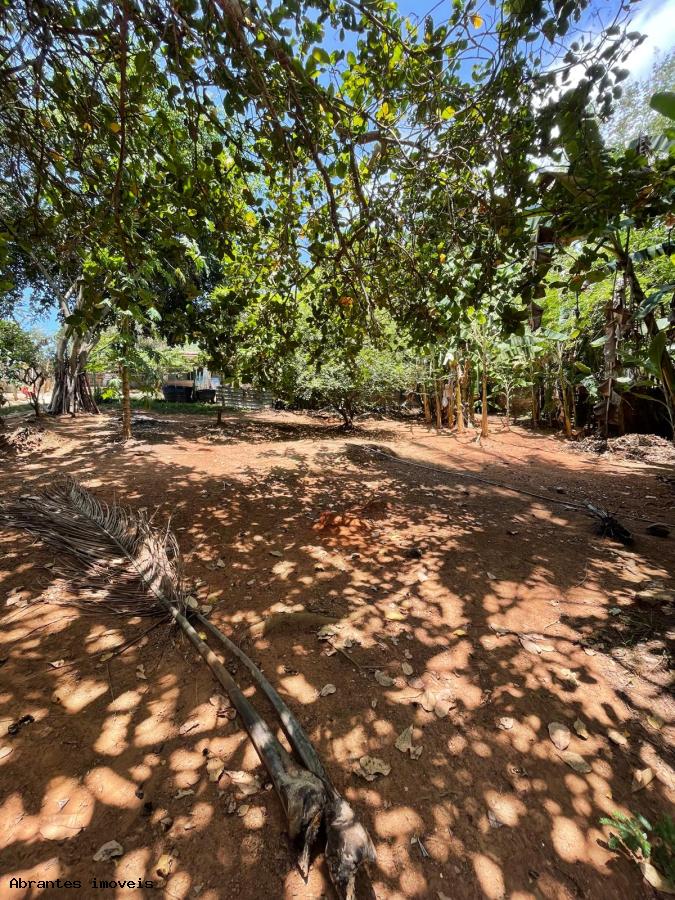 Sítio à venda com 2 quartos, 5000m² - Foto 9