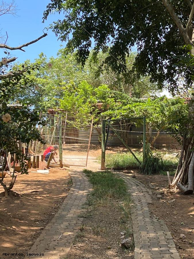 Sítio à venda com 2 quartos, 5000m² - Foto 11