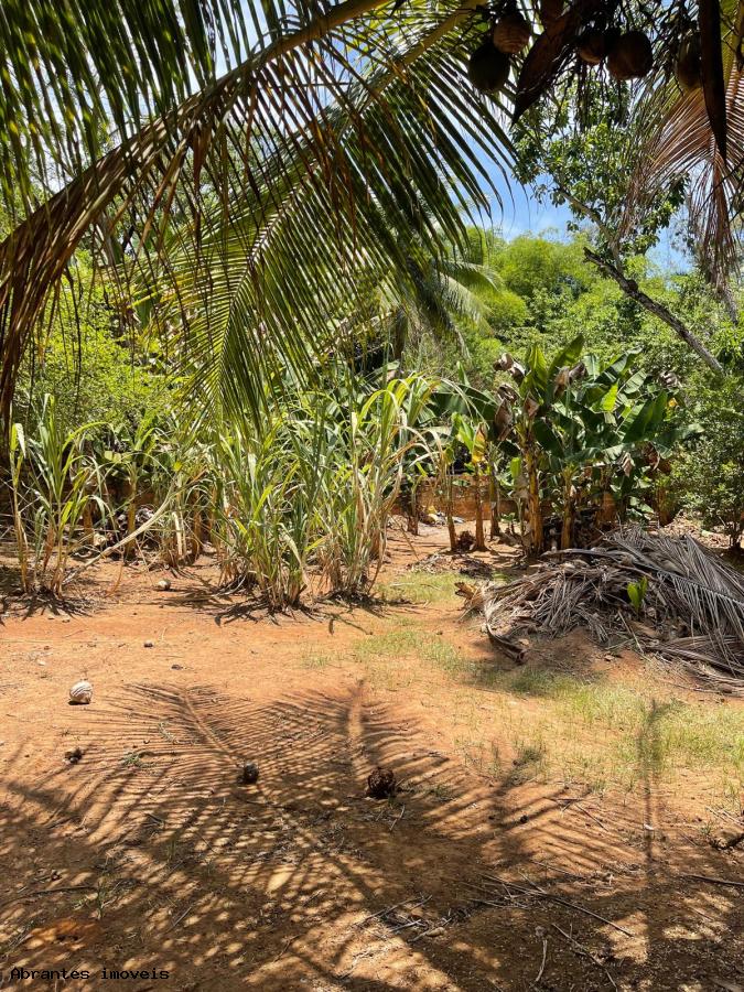 Sítio à venda com 2 quartos, 5000m² - Foto 12