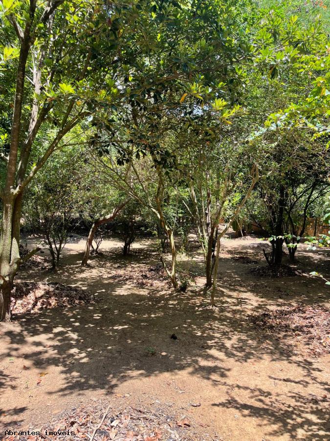 Sítio à venda com 2 quartos, 5000m² - Foto 14