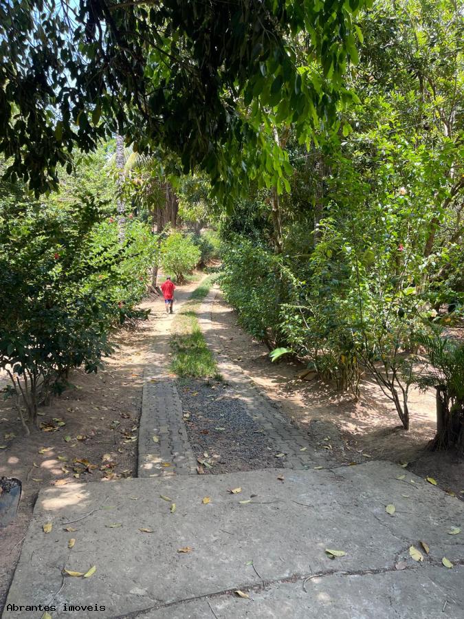 Sítio à venda com 2 quartos, 5000m² - Foto 17