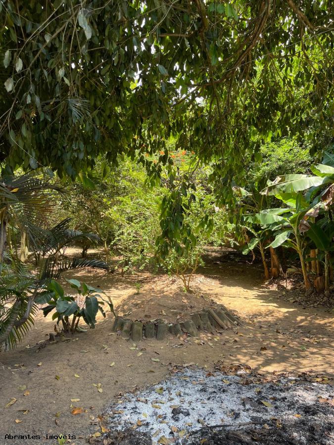 Sítio à venda com 2 quartos, 5000m² - Foto 19