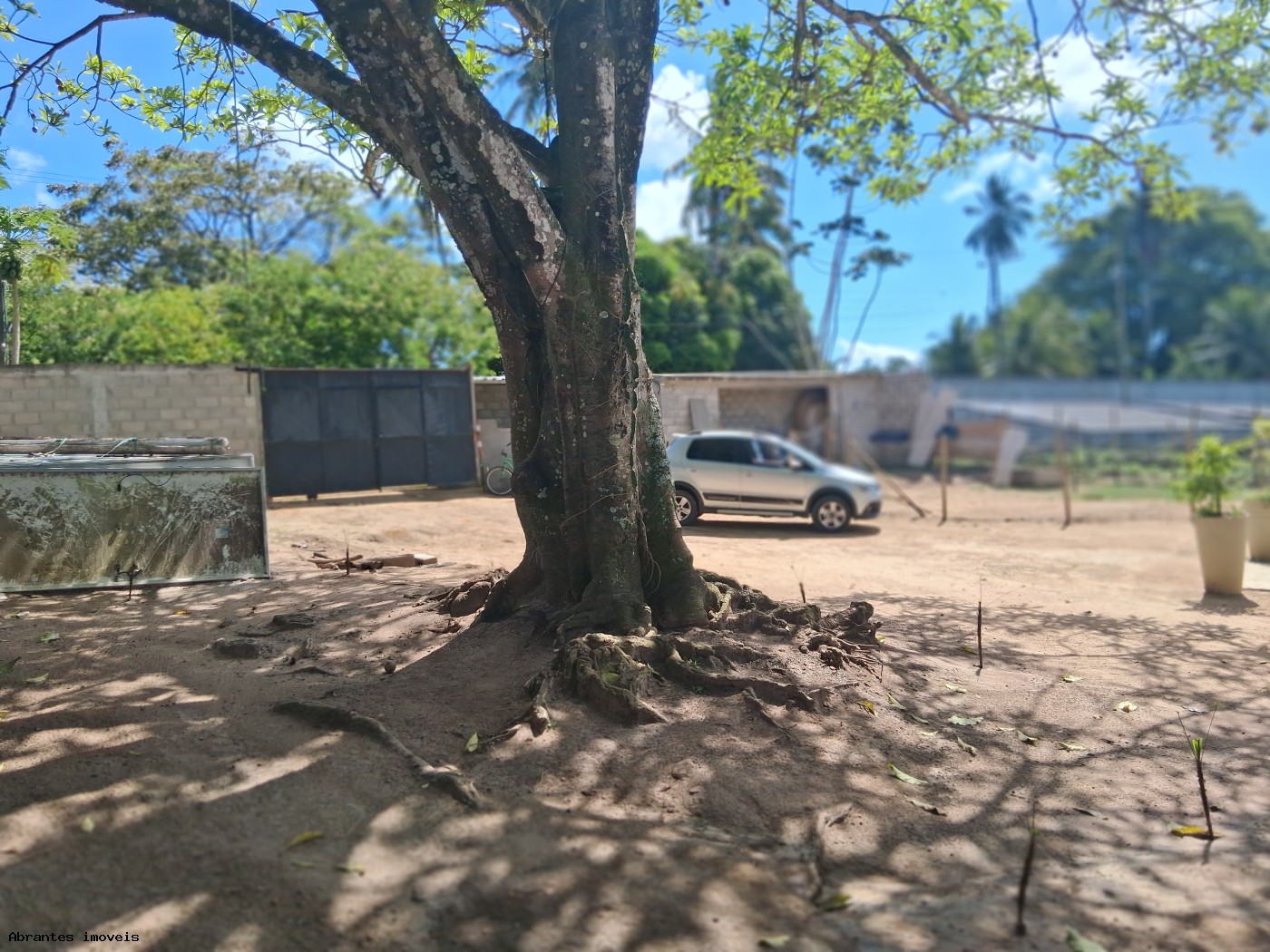 Chácara, 3 quartos, 4 hectares - Foto 11