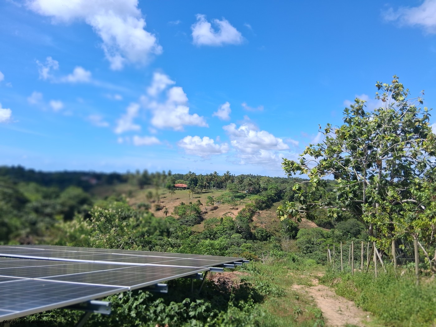 Chácara, 3 quartos, 4 hectares - Foto 12