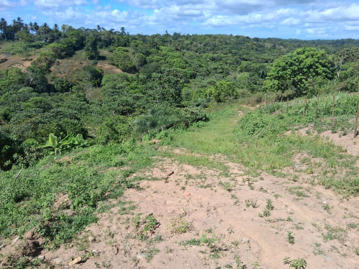 Chácara, 3 quartos, 4 hectares - Foto 14