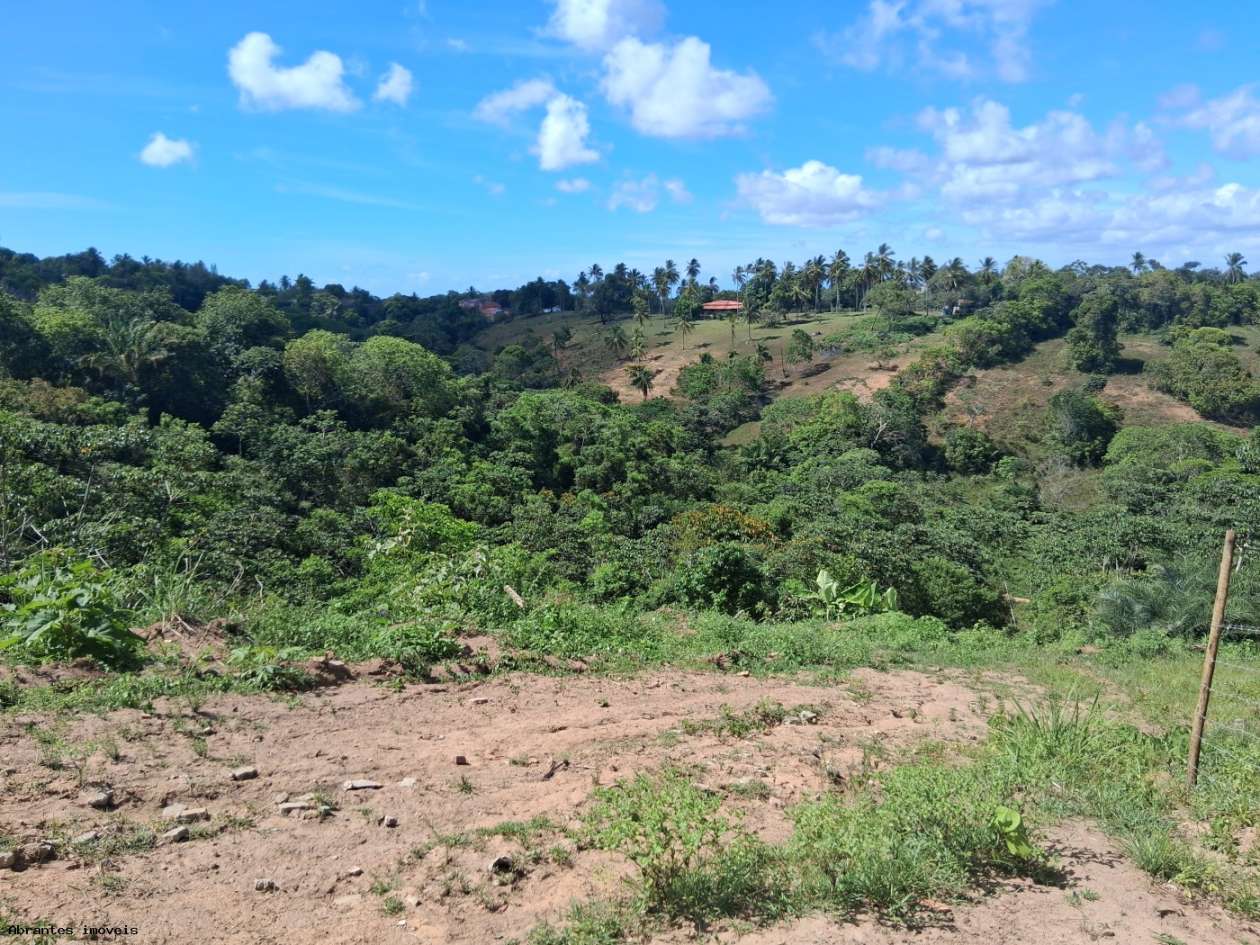 Chácara, 3 quartos, 4 hectares - Foto 15