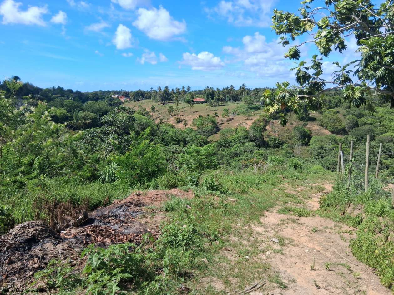 Chácara, 3 quartos, 4 hectares - Foto 16