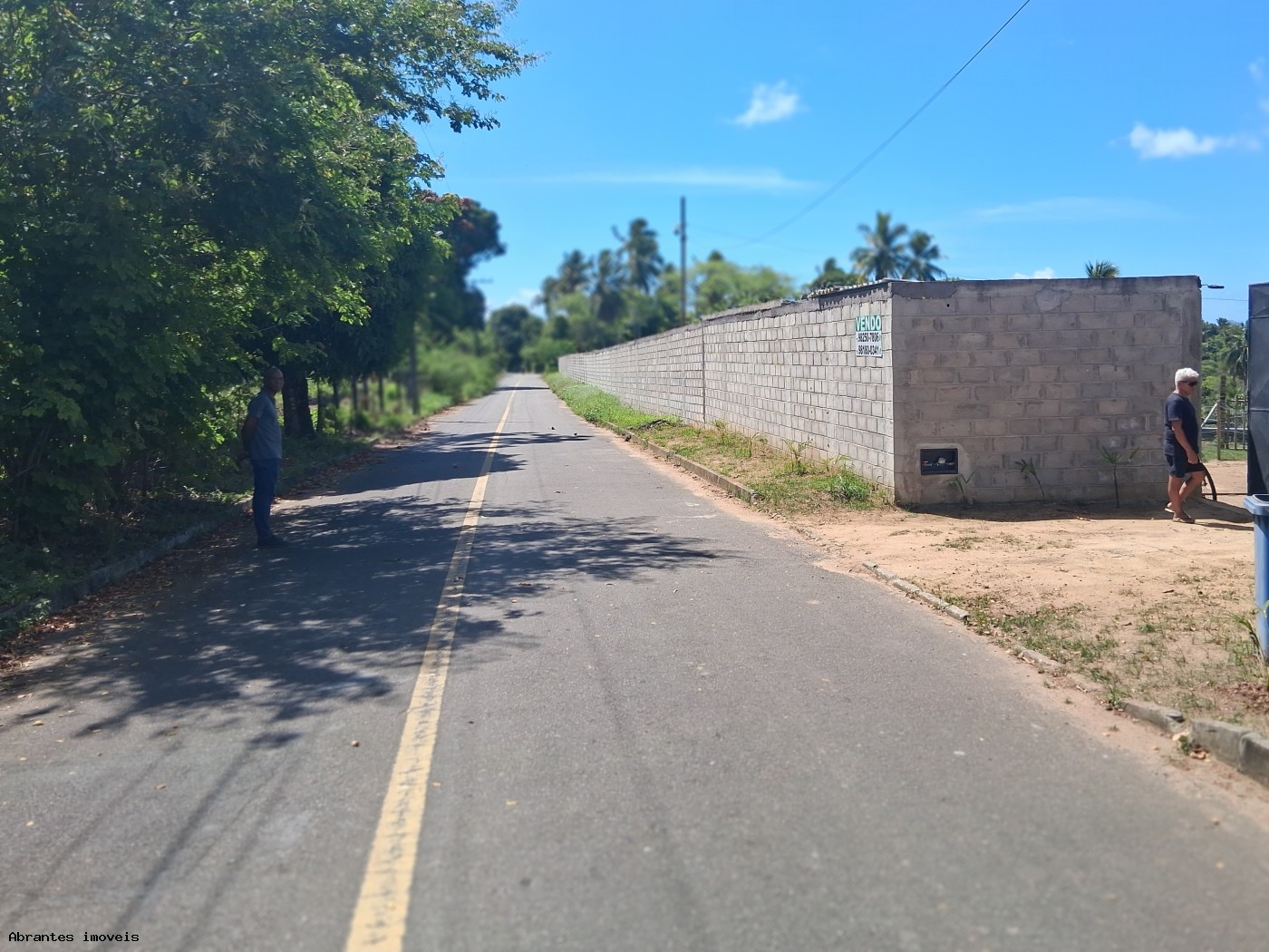 Chácara, 3 quartos, 4 hectares - Foto 19