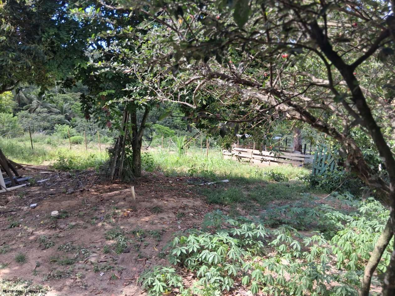 Chácara, 3 quartos, 4 hectares - Foto 20