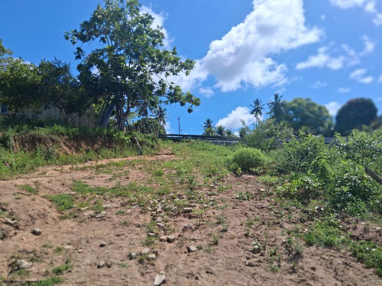 Chácara, 3 quartos, 4 hectares - Foto 22