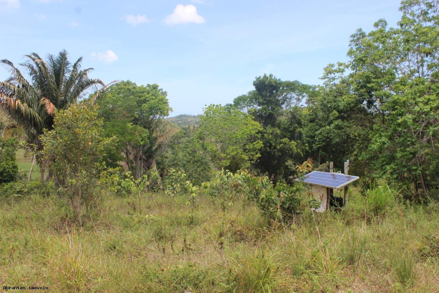 Sítio, 2 quartos, 20 hectares - Foto 2