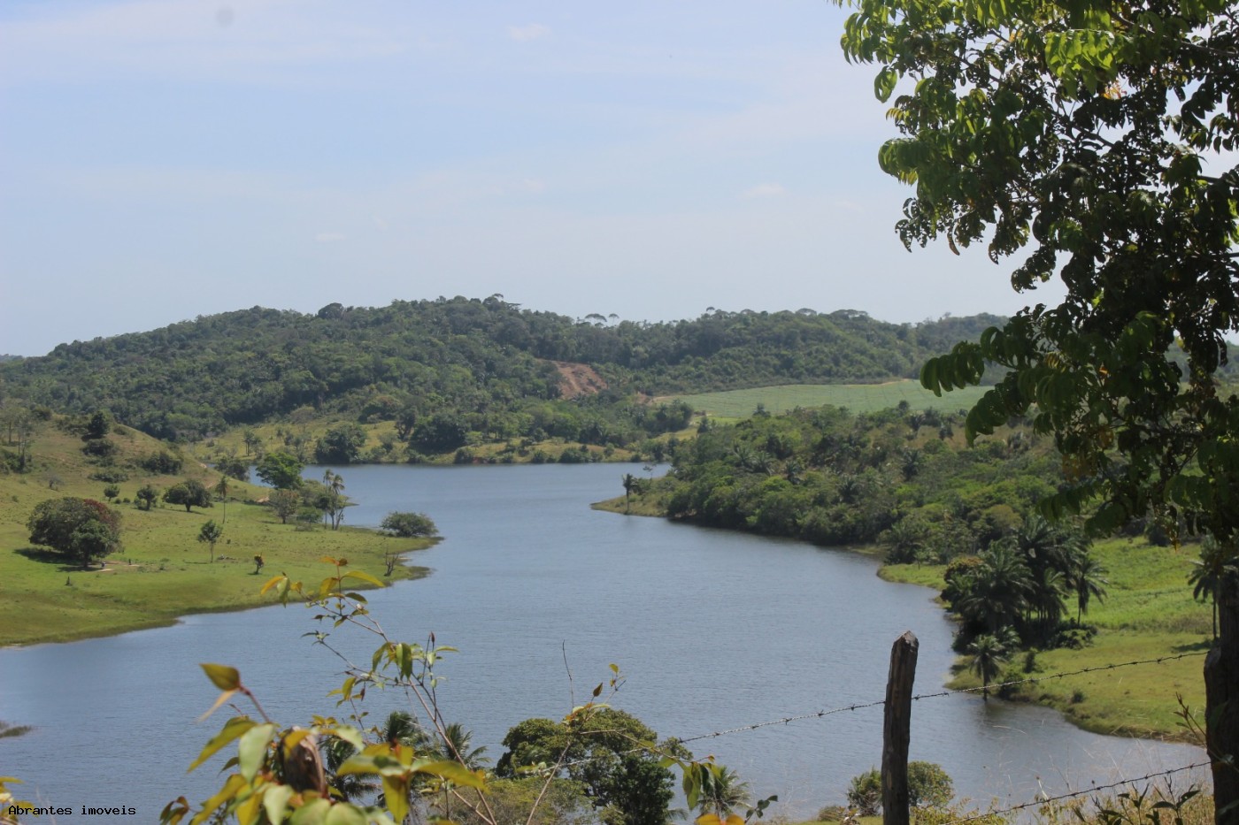 Sítio, 2 quartos, 20 hectares - Foto 6