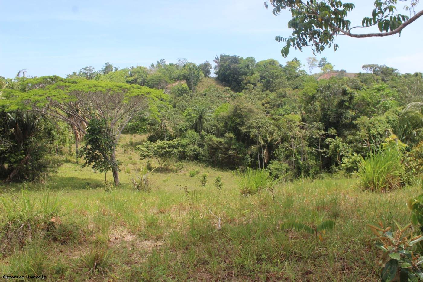 Sítio, 2 quartos, 20 hectares - Foto 5