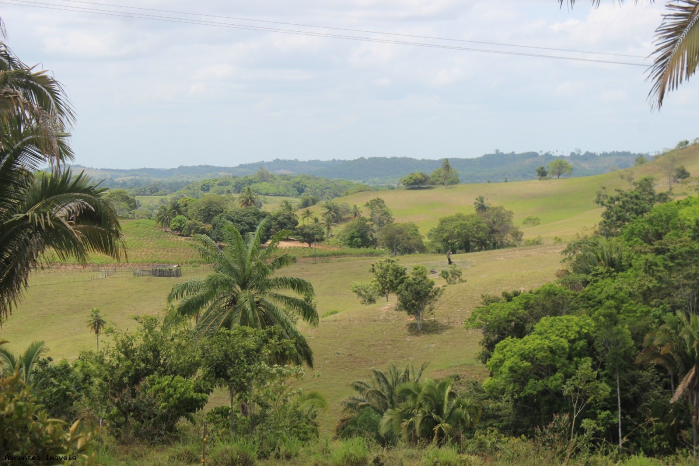 Sítio, 2 quartos, 20 hectares - Foto 8