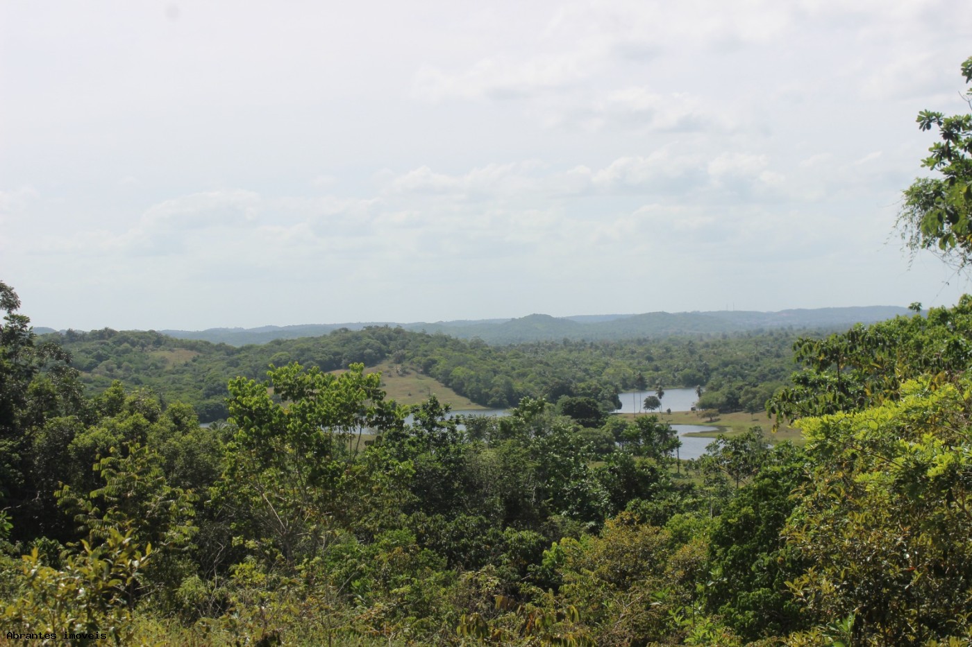 Sítio, 2 quartos, 20 hectares - Foto 11