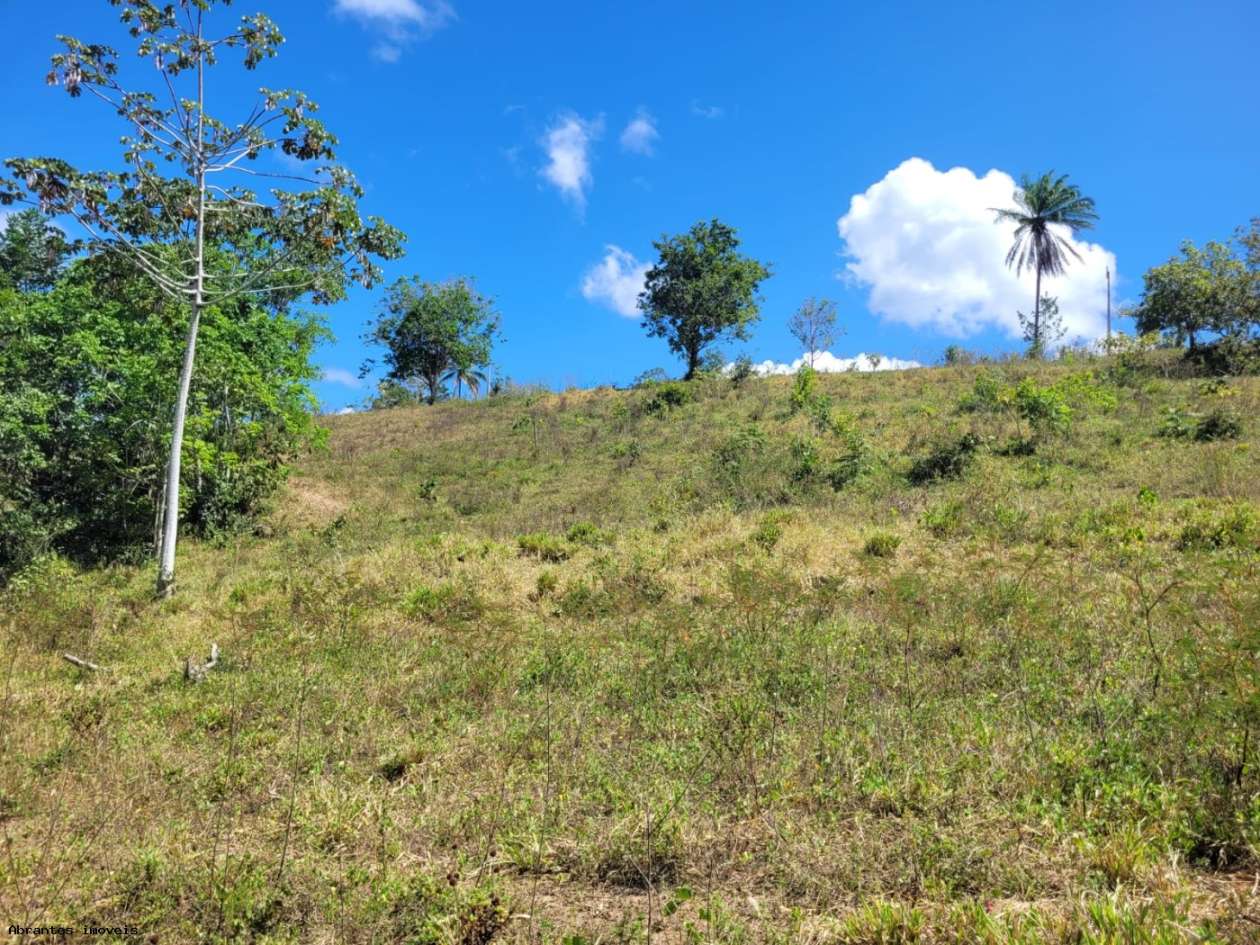 Sítio, 2 quartos, 20 hectares - Foto 18