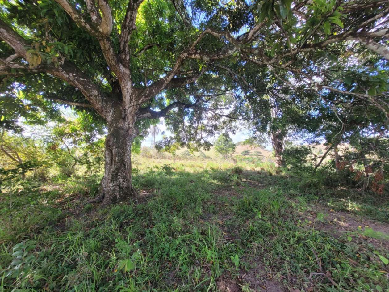 Sítio, 2 quartos, 20 hectares - Foto 21