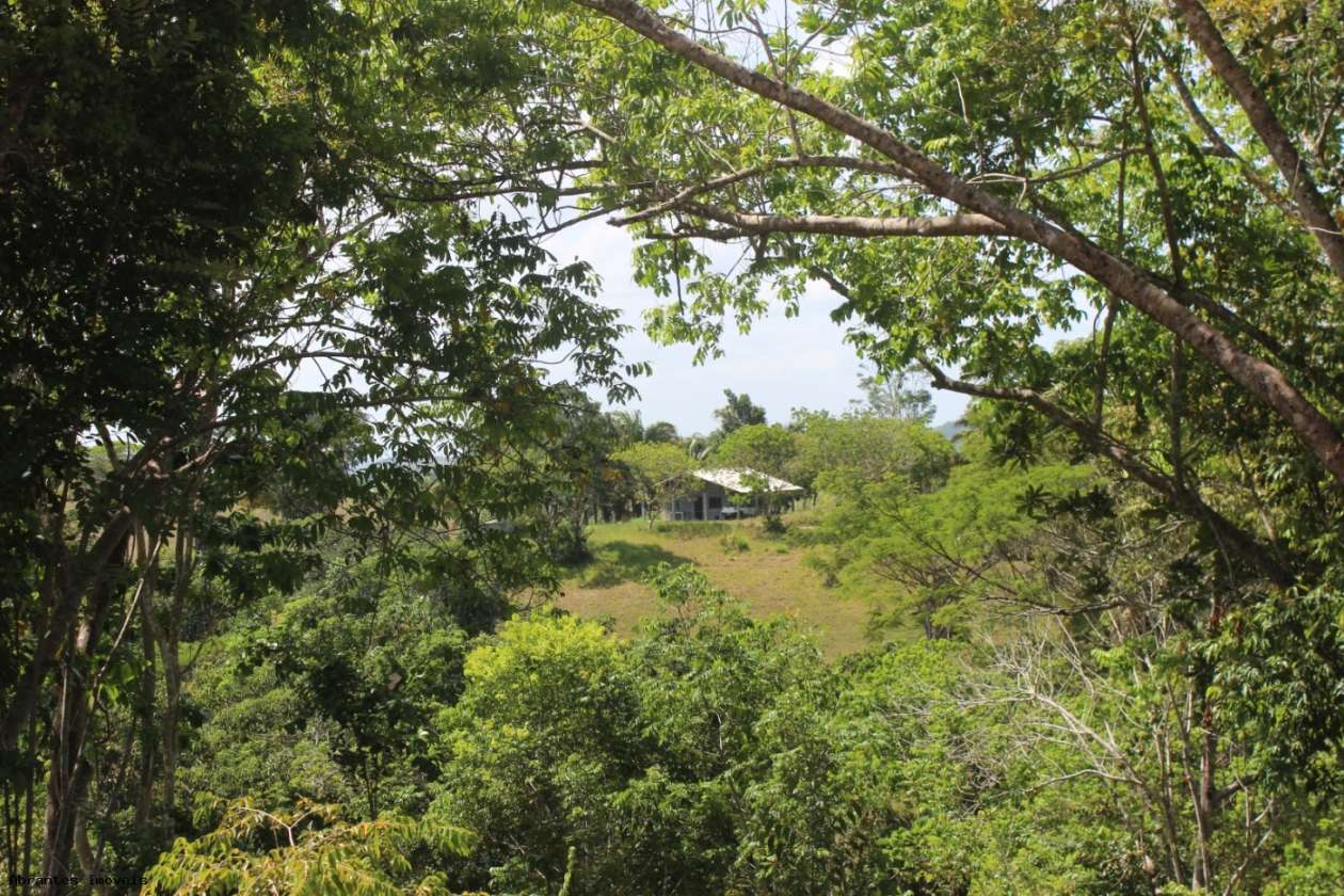 Sítio, 2 quartos, 20 hectares - Foto 20