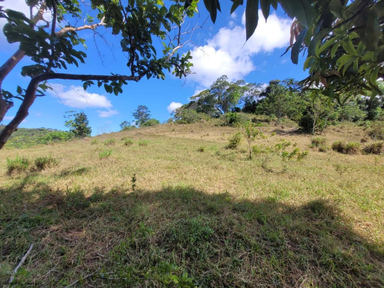 Sítio, 2 quartos, 20 hectares - Foto 24