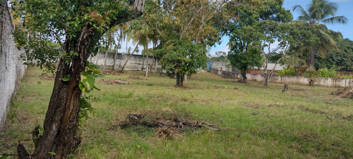 Chácara, 4 quartos, 2500 m² - Foto 5