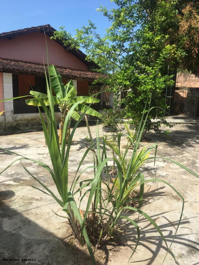 Casa, 6 quartos, 600 m² - Foto 2